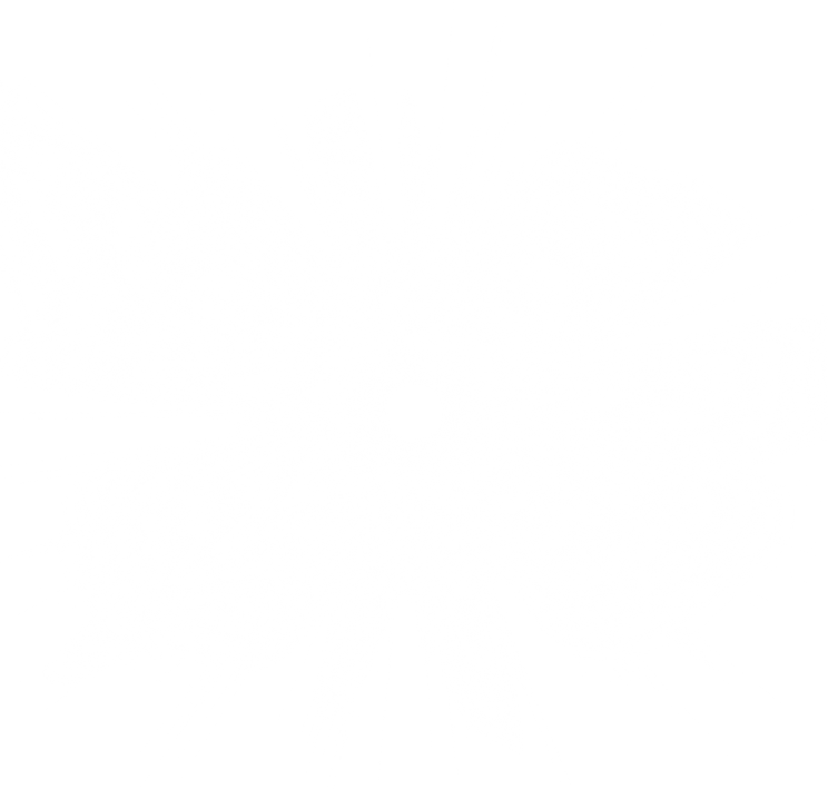 White Lens Flare